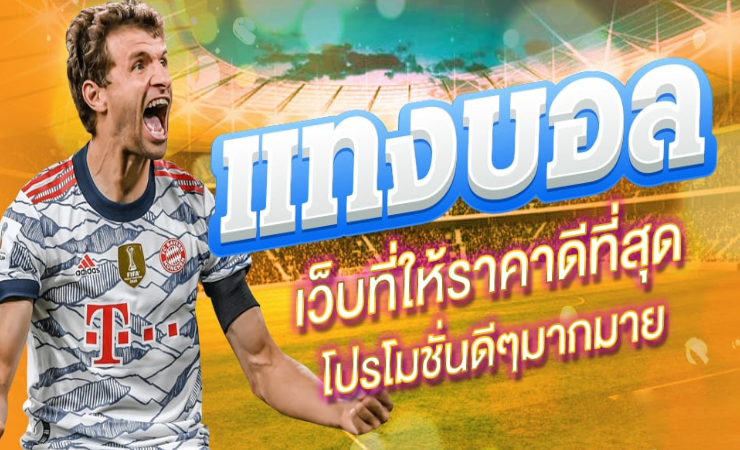เว็บแทงบอล ดีที่สุด
