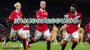 เว็บพนันบอล